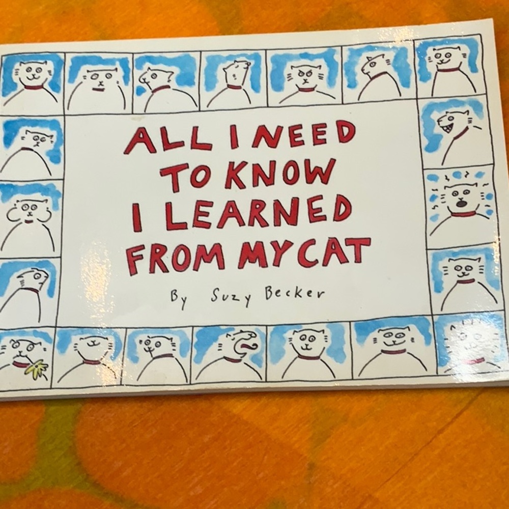 Cat book